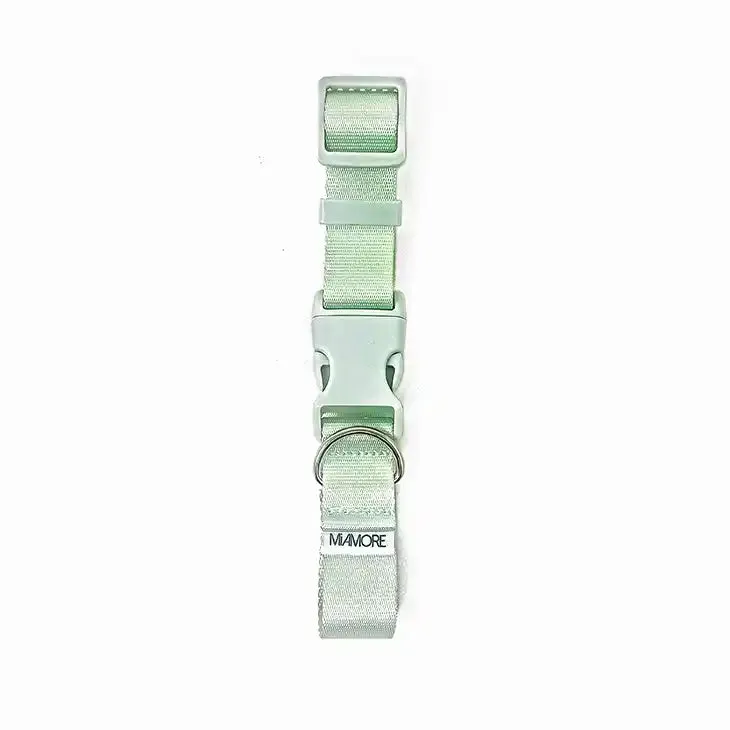Amore Dog Collar in Mint Green