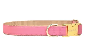 Bubblegum Pink Dog Collar