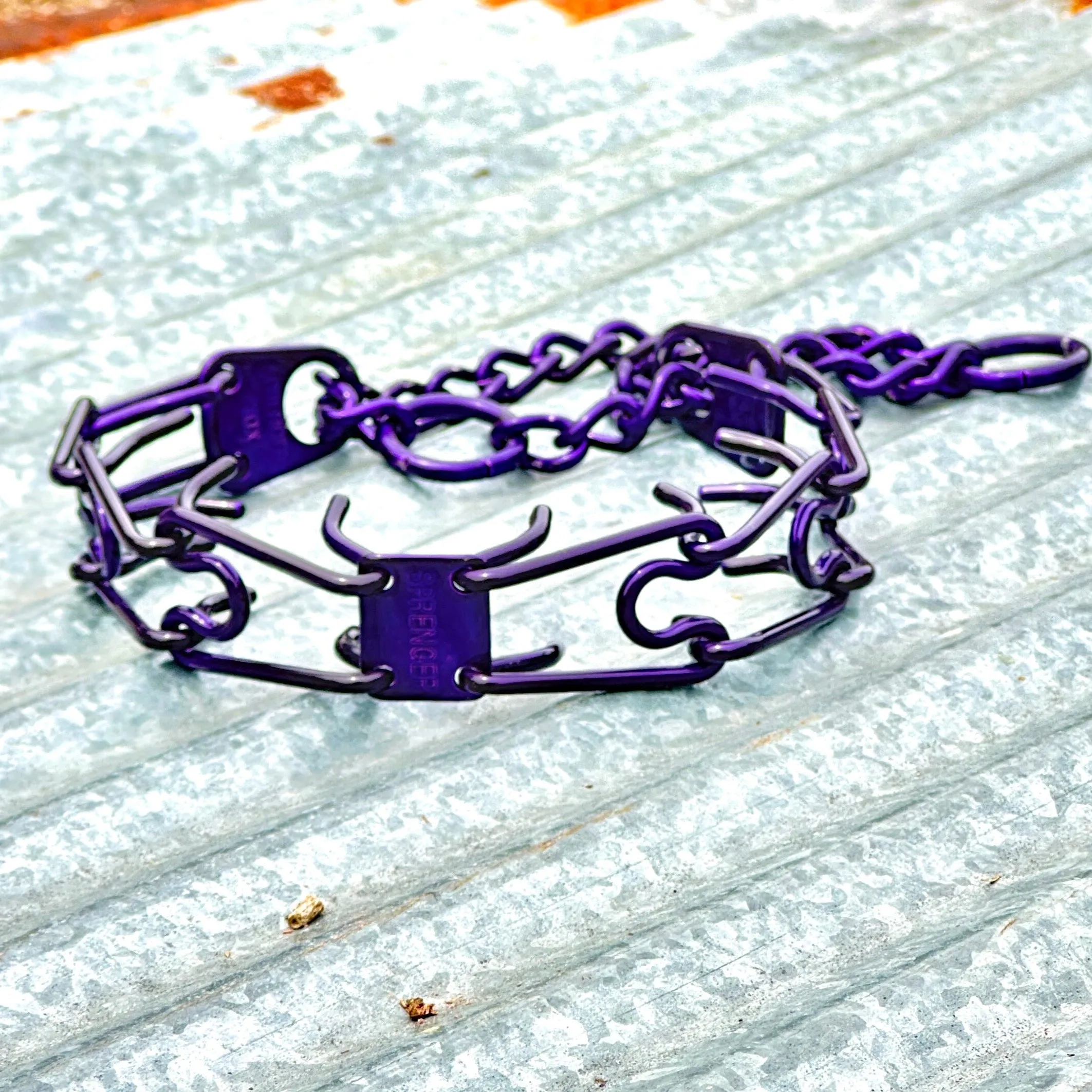 Candy Purple Custom Powder Coated Herm Sprenger Prong Collar for Dogs