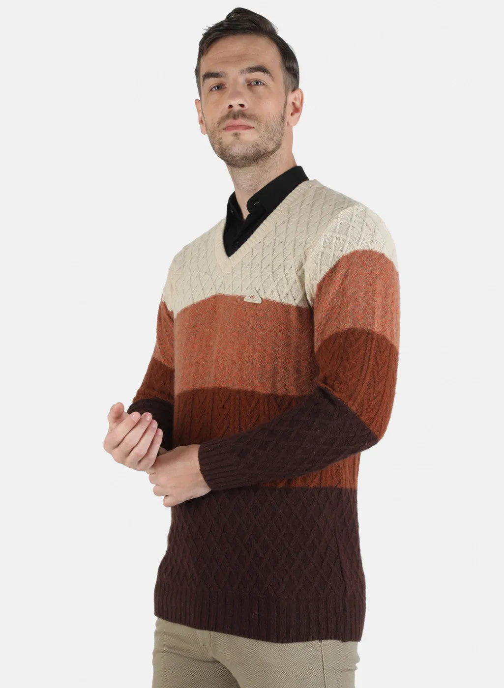 Men Multi color Self Design Pullover