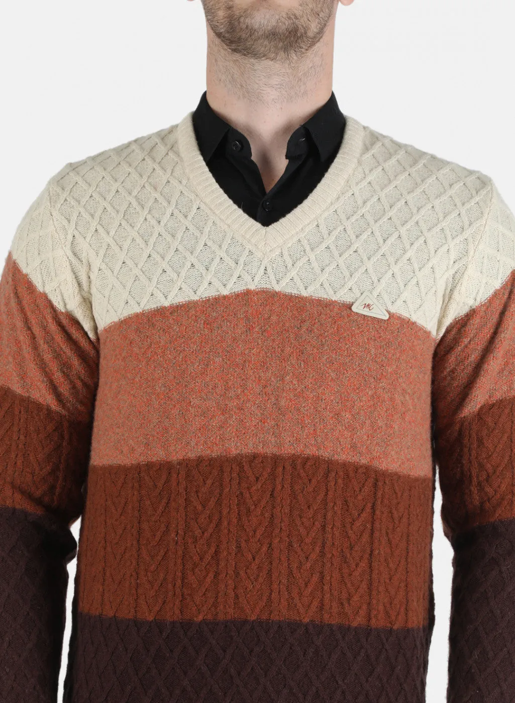 Men Multi color Self Design Pullover