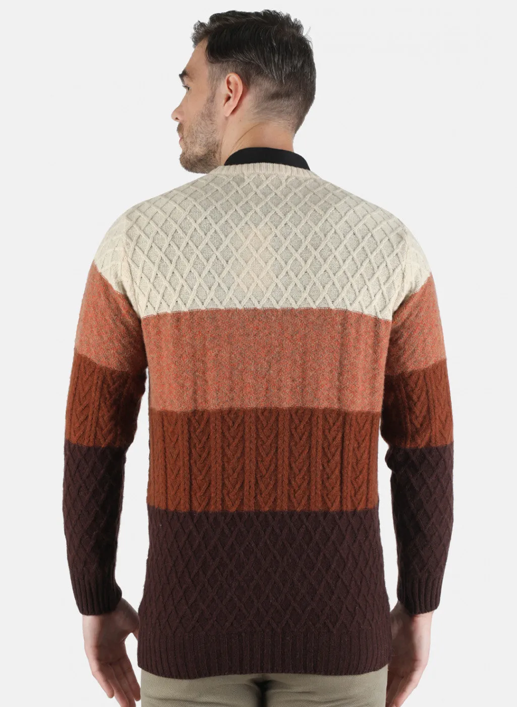 Men Multi color Self Design Pullover