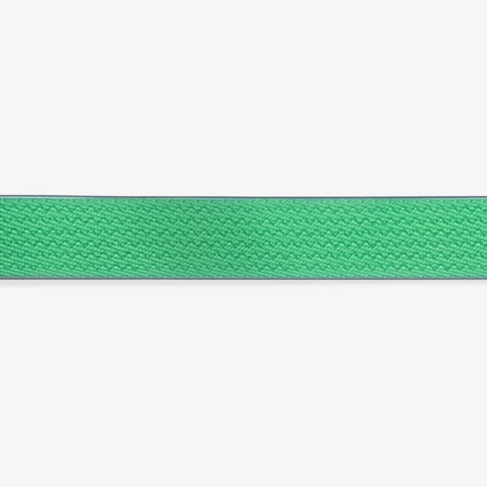 NEOPRO Apex Dog Collar