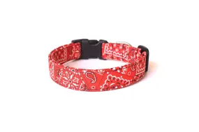Red Paisley Bandana Print Dog Collar