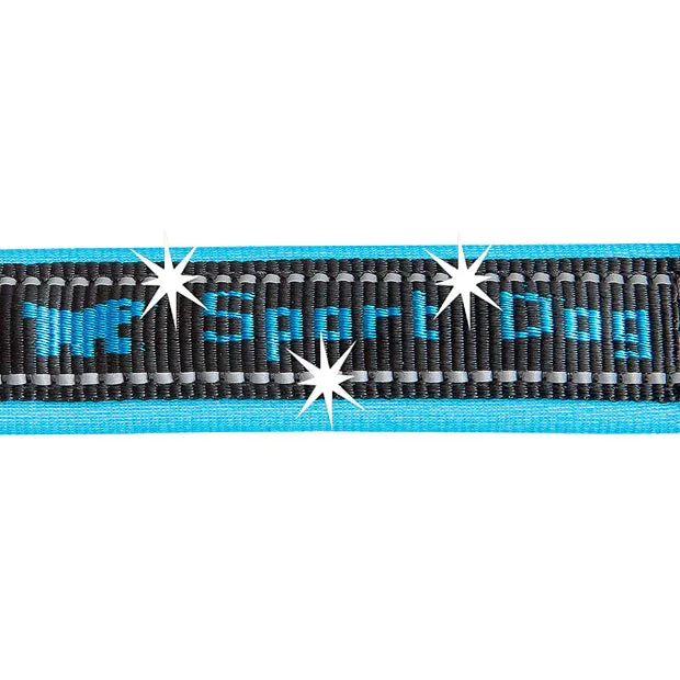SPORT DOG COLLAR BLUE