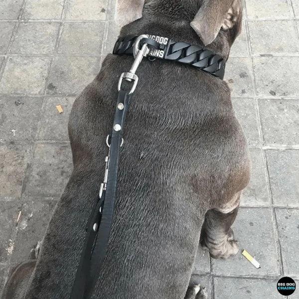 THE VADER